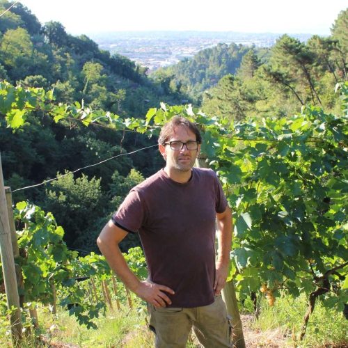 Vini Calevro – Candia – Viticoltura estrema – 46 Vini Calevro - Candia - Viticoltura estrema - 46
